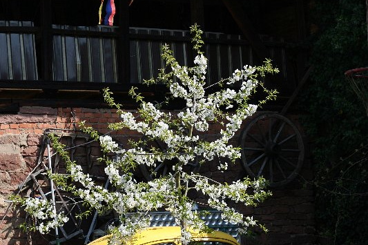 Bildergalerie - Freizeitaktivitäten im Landkreis Miltenberg