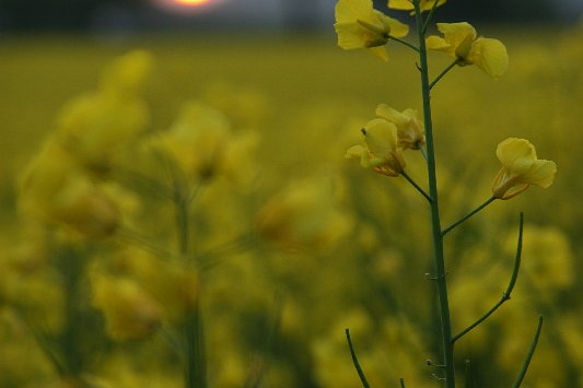 Bildergalerie - Vorstellung der Sehenswürdigkeiten und Besonderheiten der Marktgemeinde Großheubach
