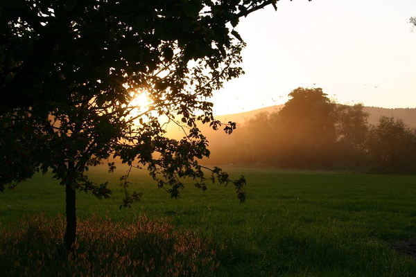 Bildergalerie - Unterwegs im Mainland Miltenberg