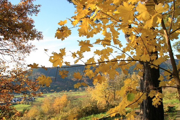 Bildergalerie - Bildimpressionen des Naturpark Spessarts